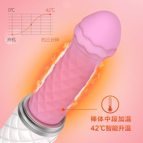 女用炮機(jī)-LELO-Feisty 俊美震動(dòng)伸縮炮機(jī) 仿真人加溫